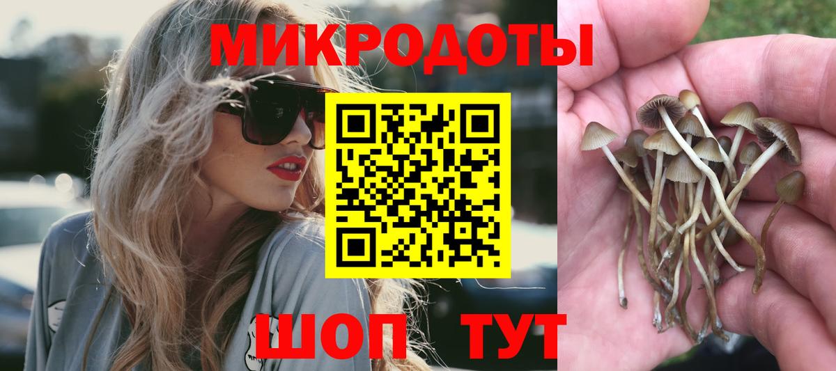 Отрадное  Галлюциногенные грибы мицелий  Вход с VPN  Галлюциногенные грибы Psilocybine cubensis 