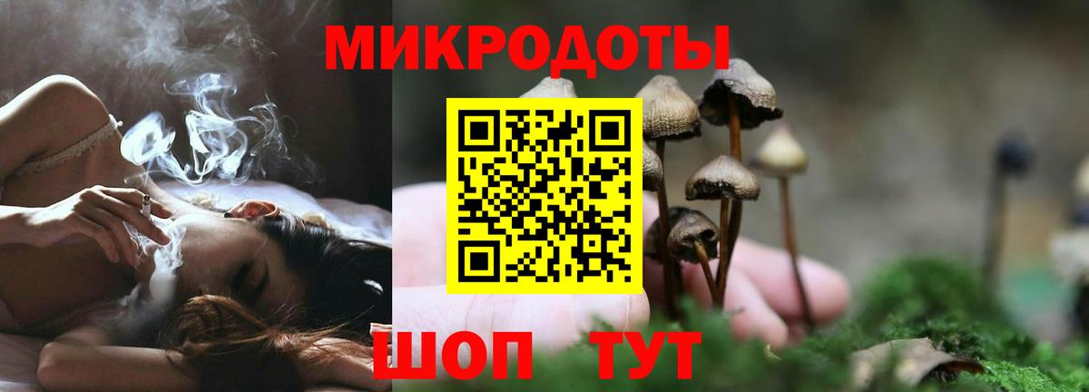 Галлюциногенные грибы GOLDEN TEACHER Отрадное